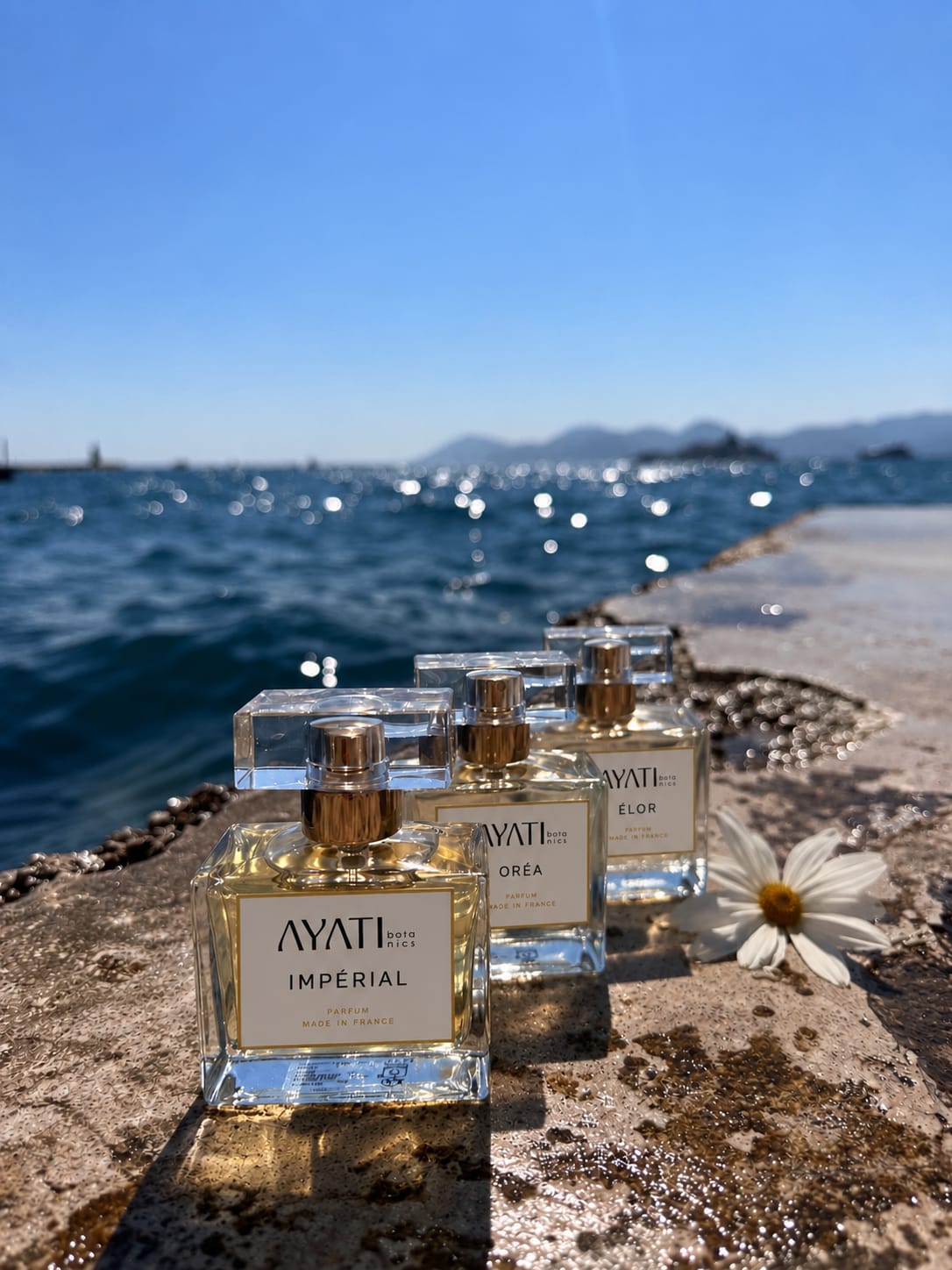 Ayati Parfum-Trio mit drei frei wählbaren Parfums à 50 ml von Ayati Botanics