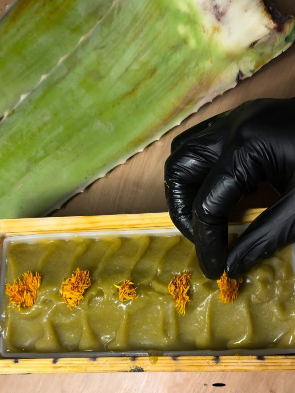 Aloe Vera & Olive Soap – Daily Use – All Skin Types