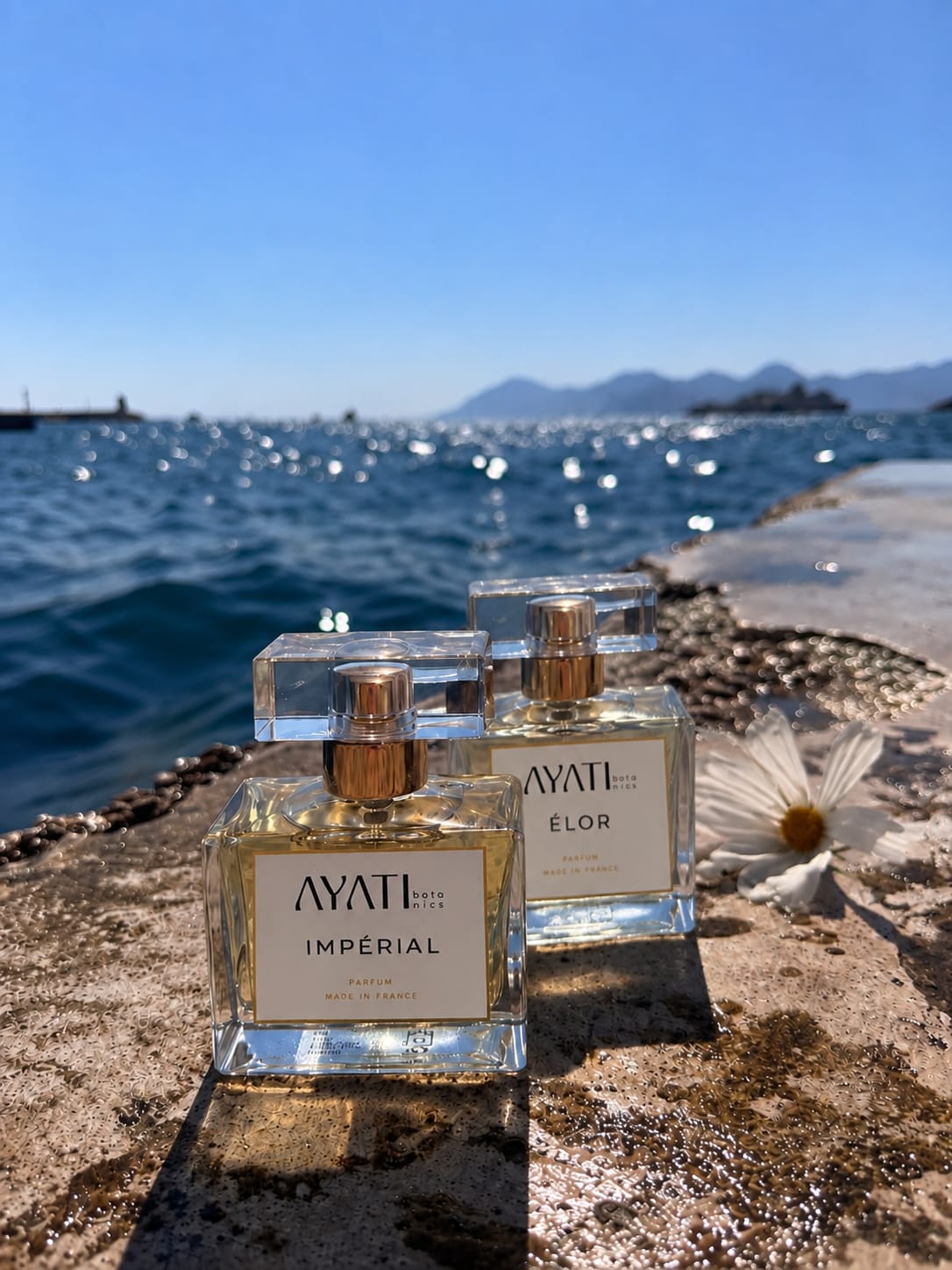 Ayati Parfum-Duo mit zwei frei wählbaren Parfums à 50 ml von Ayati Botanics